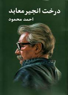 کتاب درخت انجیر معابد (۲ جلدی)-نویسنده احمد محمود